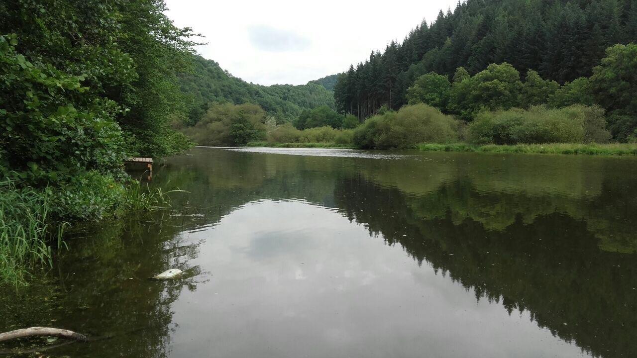Ferienwohnungen am Fürstenweg Neuwied Exterior foto