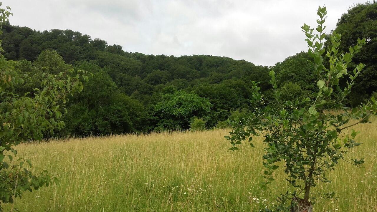 Ferienwohnungen am Fürstenweg Neuwied Exterior foto
